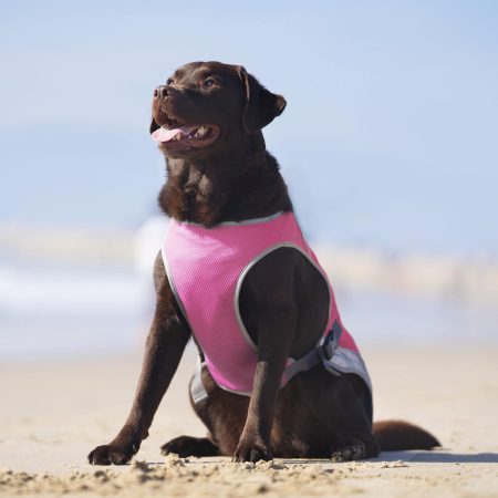 Chill Seeker Neon Pink Cooling Vest