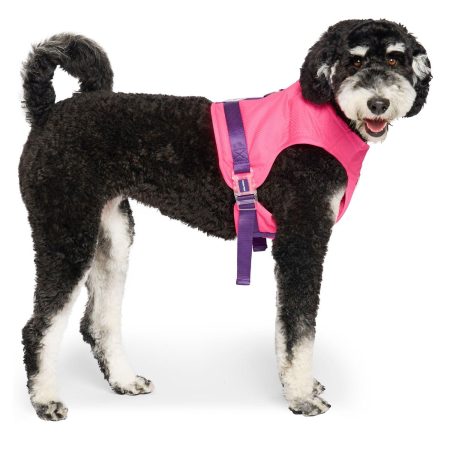 Chill Seeker Neon Pink Cooling Harness