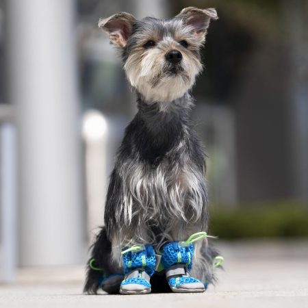 Blue Hot Pavement Boots