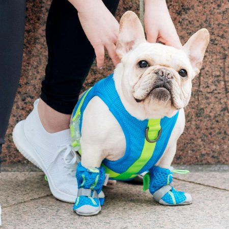 Blue Hot Pavement Boots