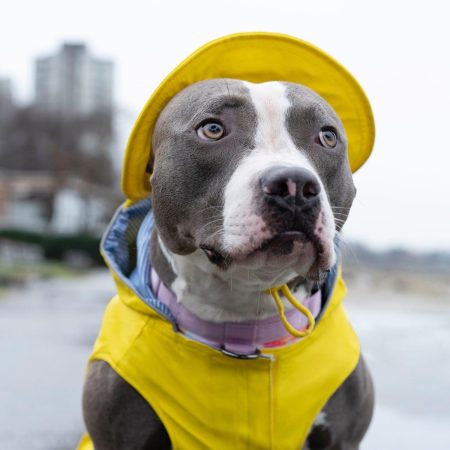 Torrential Tracker Yellow Rain Hat