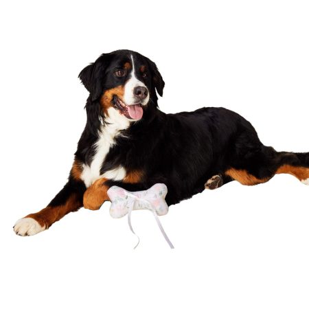 Wedding Ring Bearer Bone Dog Toy