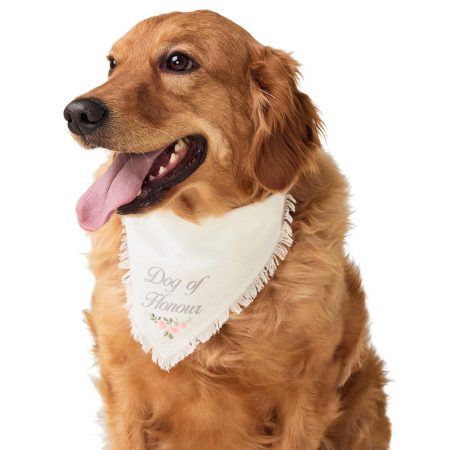 Wedding Dog of Honour Bandana