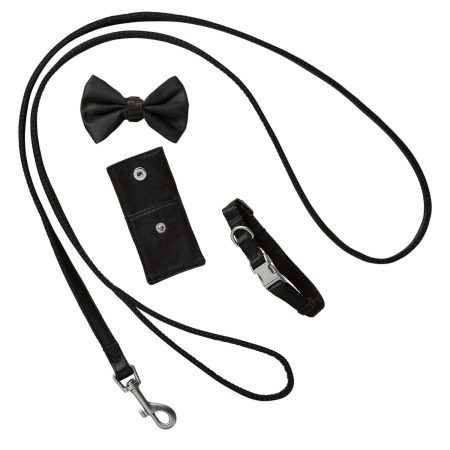 Wedding Black Dog Collar & Leash Set