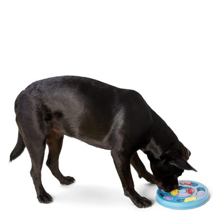 Round Puzzle Dog Toy