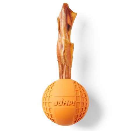 Fetch Ball Dog Toy