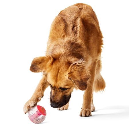 Giggler Treat Dispensing Ball Dog Toy