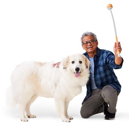 Ball Launcher Dog Toy