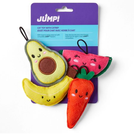 Assorted Fruits Cat Toy