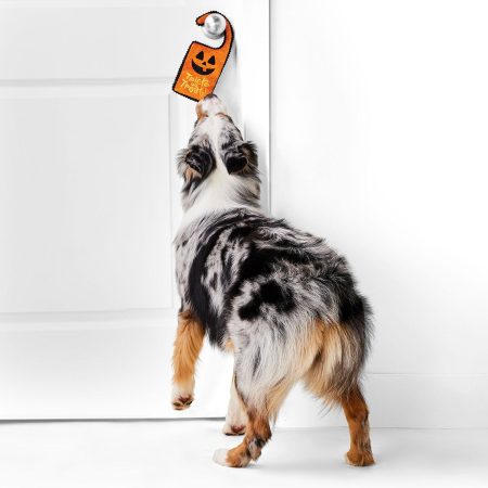 Pumpkin Door Rope Hanger Halloween Dog Toy