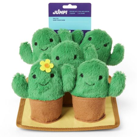 Cactus Burrow Dog Toy