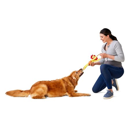 Lion Rope Dog Toy