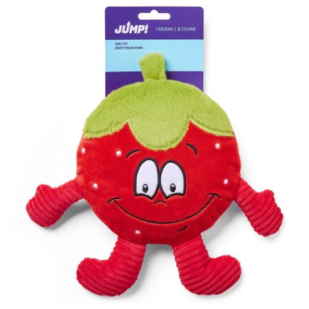 Strawberry Dog Toy