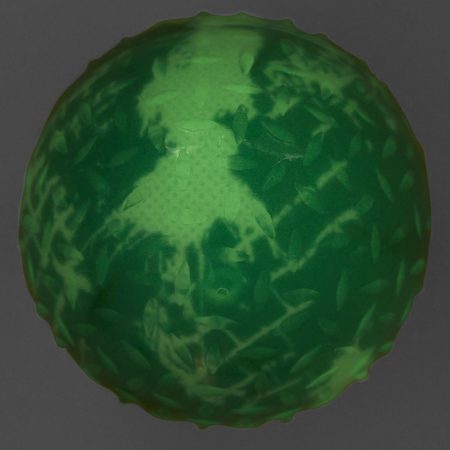 Glow Ball Dog Toy