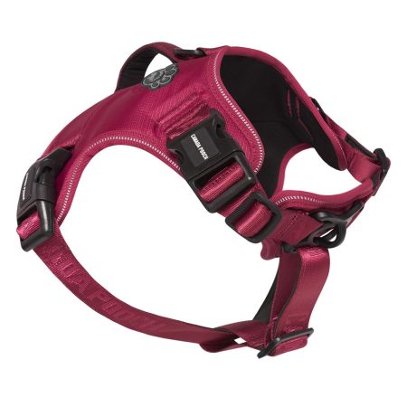 Complete Control Plum Dog Harness