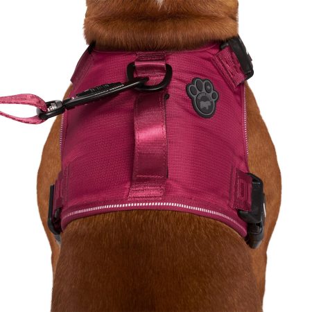 Complete Control Plum Dog Harness