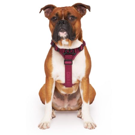 Complete Control Plum Dog Harness