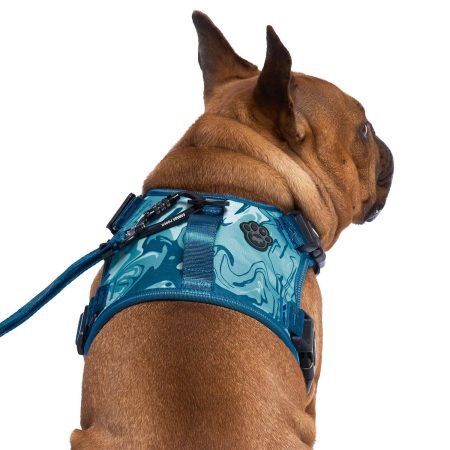 Complete Control Blue Marble Dog Harness