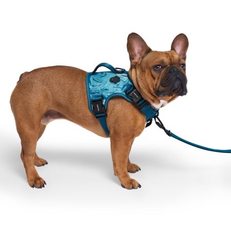 Complete Control Blue Marble Dog Harness