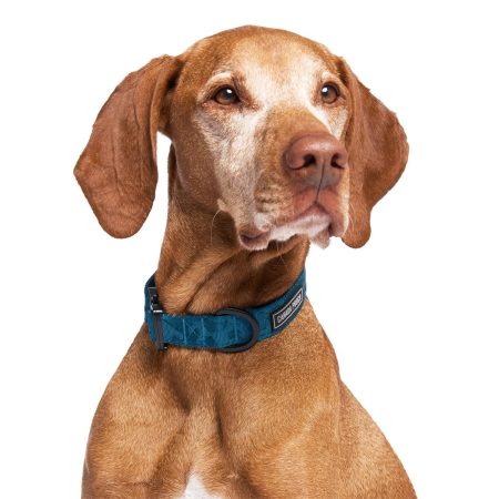 Utility Blue Camo Dog Collar