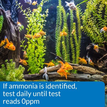 Ammonia Test Strips for Freshwater and Saltwater Aquariums