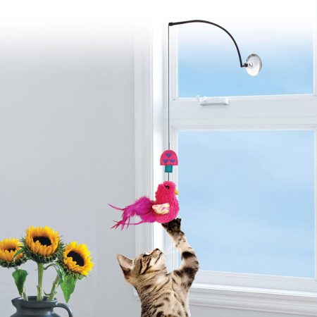 Window Teaser Assorted Cat Toy