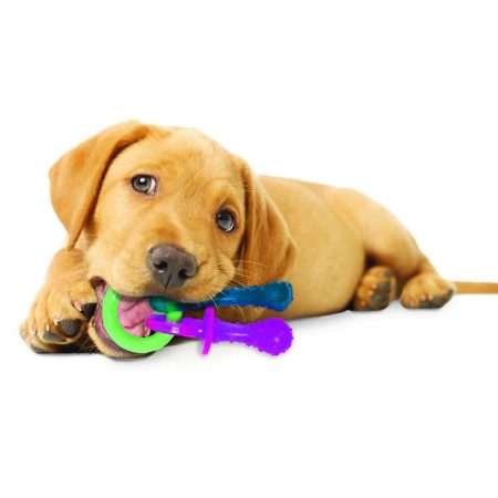 Puppy Chew Teething Pacifier