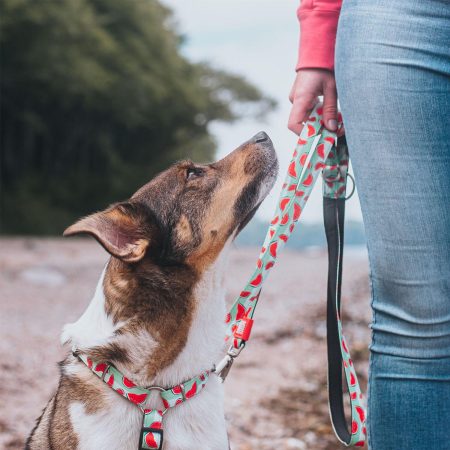 Watermelon Dog H-Harness