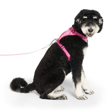 Barbie Everything Dog Harness