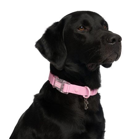 Barbie Waterproof Pink Dog Collar