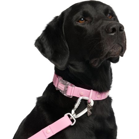 Barbie Waterproof Pink Dog Collar