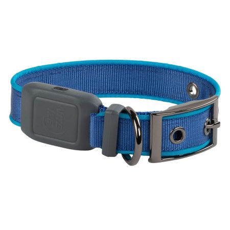 NiteDog Rechargeable LED Blue Dog Collar