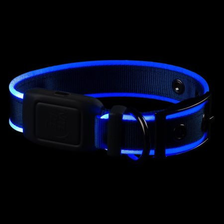 NiteDog Rechargeable LED Blue Dog Collar