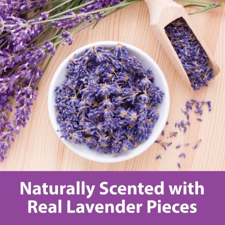 Clean & Cozy Natural with Lavender Paper Bedding