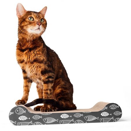 Cartoon Fish Cat Scratcher