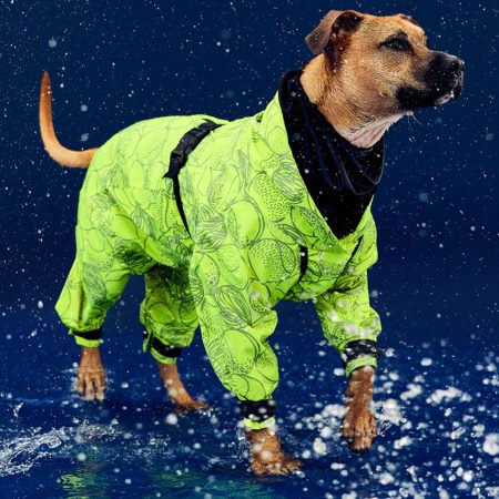 Neon Yellow Rain Suit