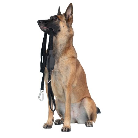 Visibility Dog Leash Black