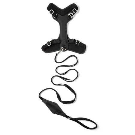 Visibility Dog Leash Black