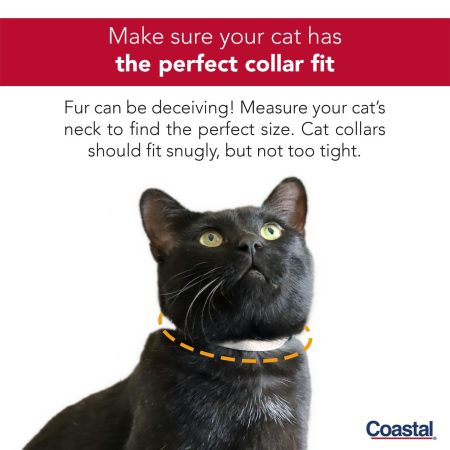 Safe Cat Fashion Adjustable Breakaway Sushi Blue Cat Collar