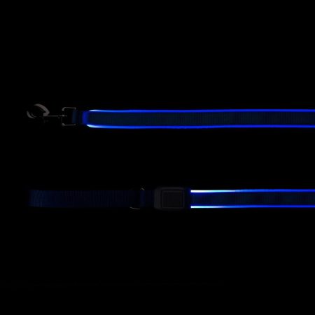 NiteDog Rechargeable LED Blue Dog Leash