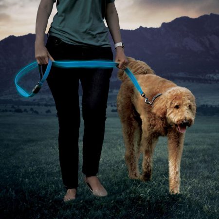 NiteDog Rechargeable LED Blue Dog Leash