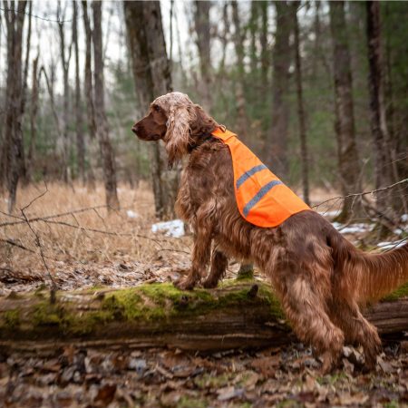 Reflective Safety Neon Orange Vest