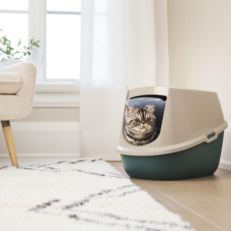 Eco-Friendly Green Hooded Litter Box