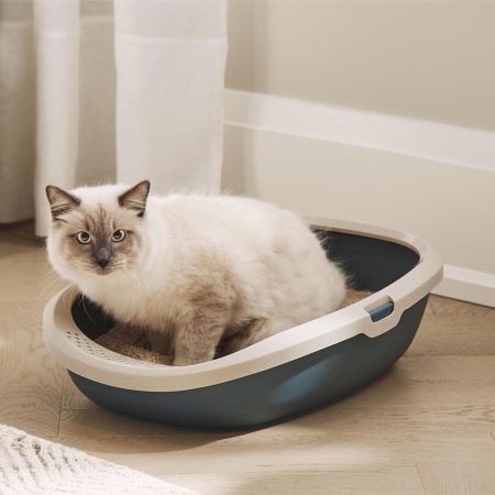 Eco-Friendly Green Litter Pan