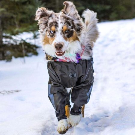 Bodyguard Protective All-Weather Grey Dog Pants