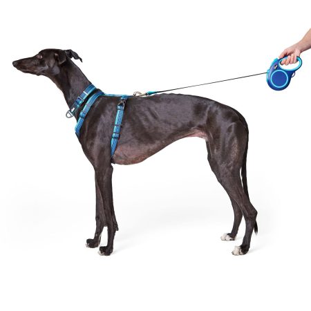 Soft Grip Ribbon Tape 16ft Retractable Blue Dog Leash