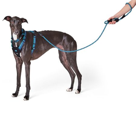 Discover Dog Reflective Rope 3/8in Blue & Aqua Dog Leash