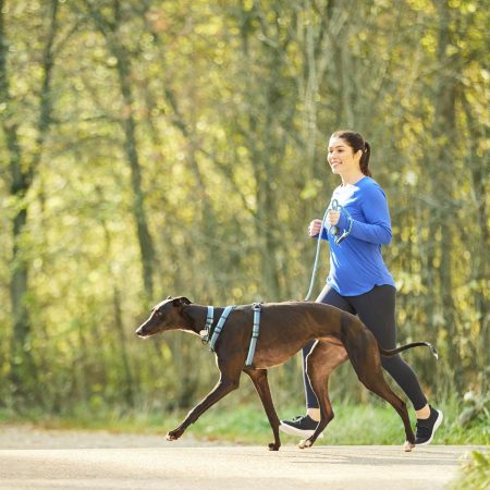 Discover Dog Reflective Rope 3/8in Blue & Aqua Dog Leash