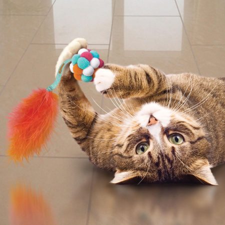 Active Bubble Ball Assorted Cat Toy