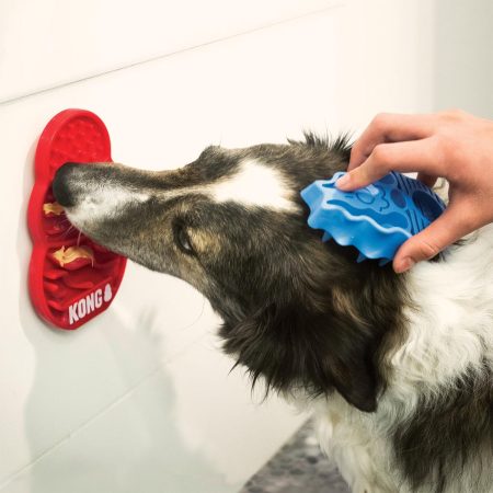 Licks Treat Dispenser